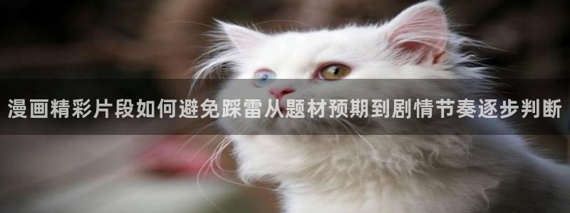 漫画免费看悬疑漫画:漫画精彩片段如何避免踩雷从题材预期到剧情节奏逐步判断